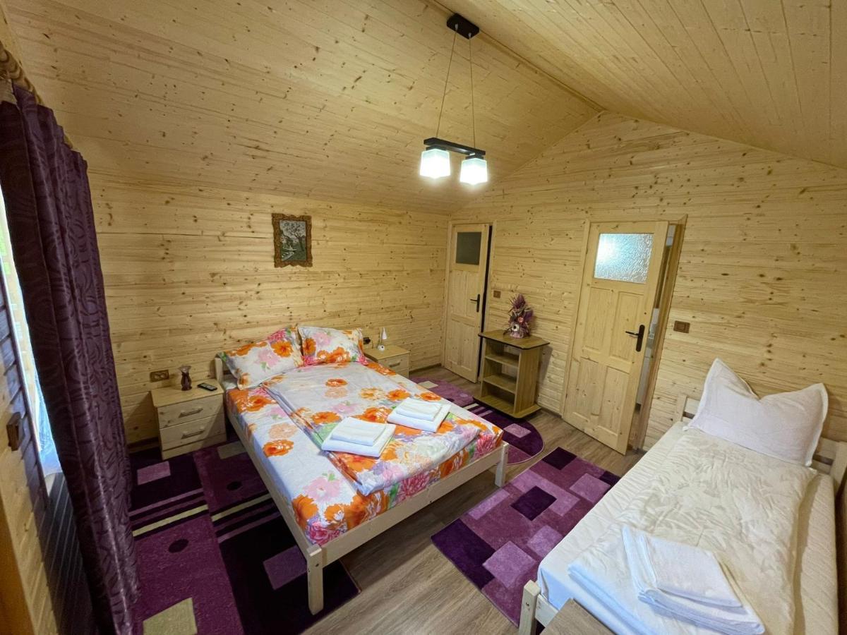 Casutele Din Retezat Hotel Nucsoara  Ngoại thất bức ảnh